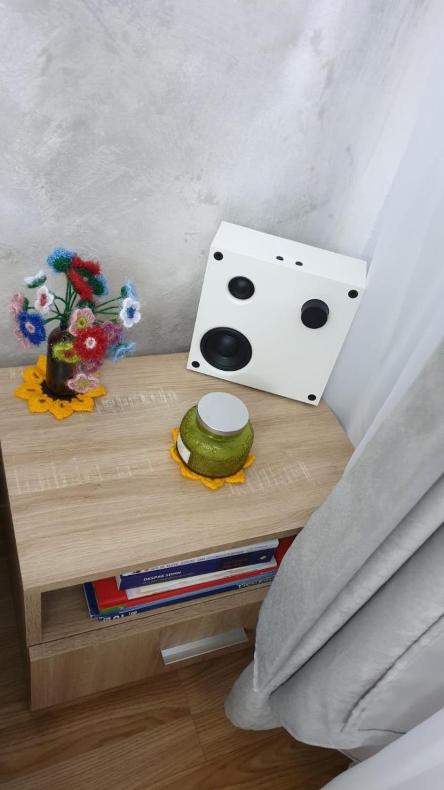 Garsoniera Ioana *