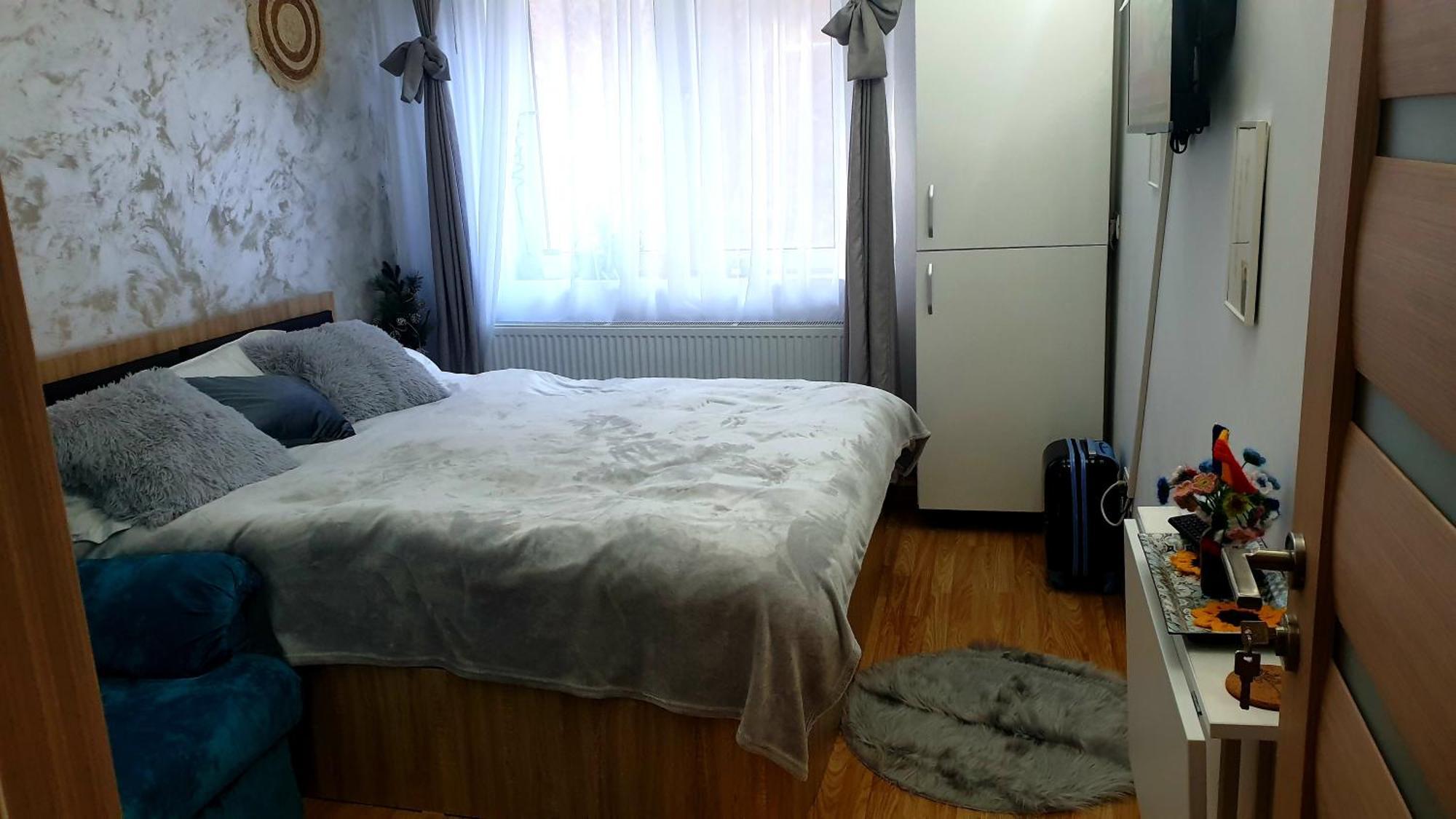 Apartment Garsoniera Ioana