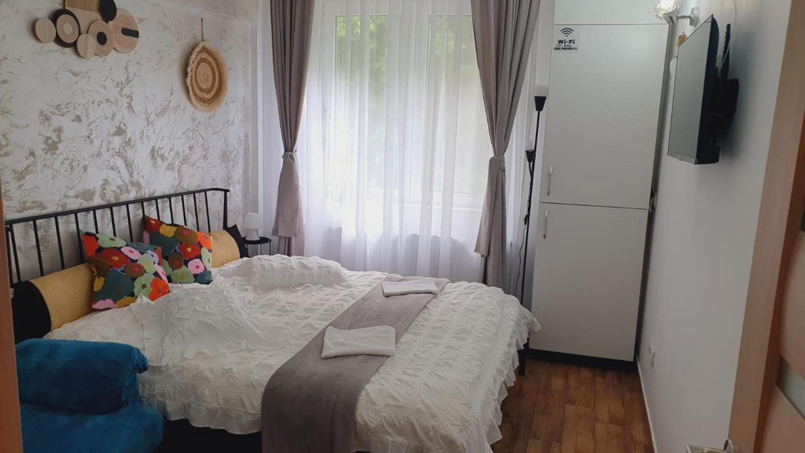 Apartment Garsoniera Ioana